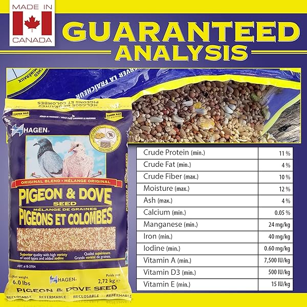 HAGEN PIGEON & DOVE SEED – ORIGINAL FORMULA BIRD FOOD, 6 LB BAG – NUTRITIONALLY COMPLETE SEED MIX WITH VITAMINS & MINERALS – WILD & CAPTIVE BIRD DIET – INSECT-RESISTANT AIR-TIGHT PACKAGING
