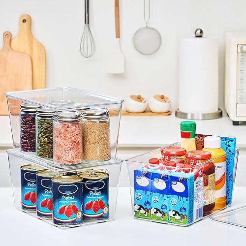 theaoo Clear Storage Bins with Lids Stackable Large Plastic