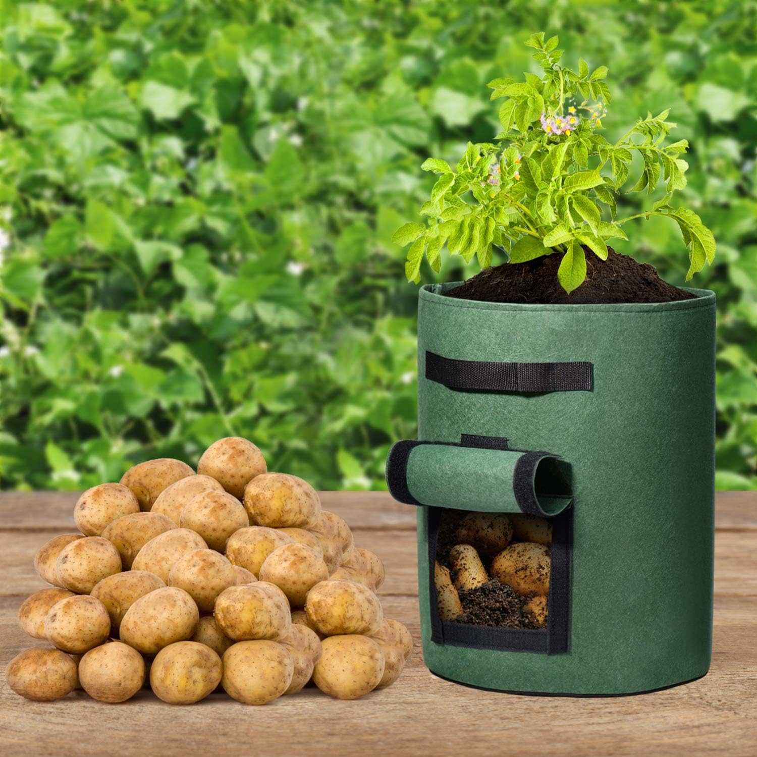 QZZCED 2 Sedie da Pranzo Verde Scuro in Tessuto con Struttura Metallo e