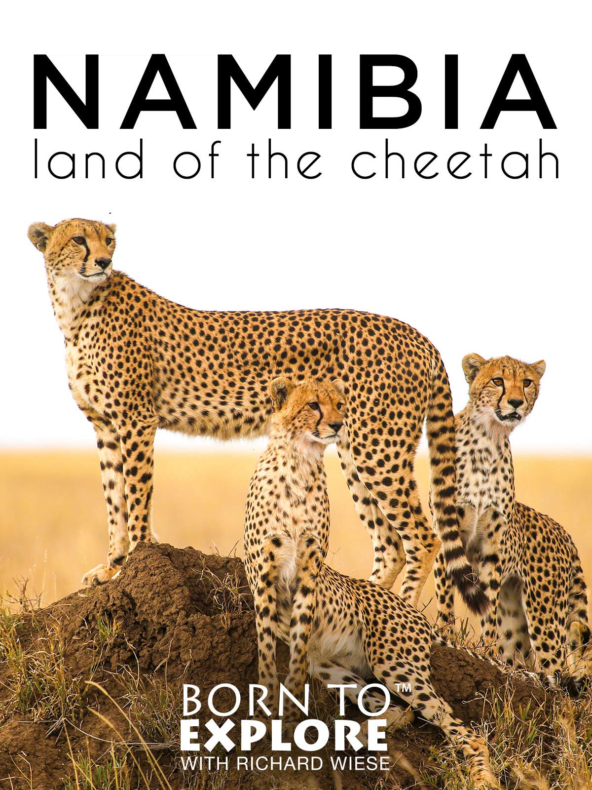 Watch Born to Explore: Namibia: Land of 