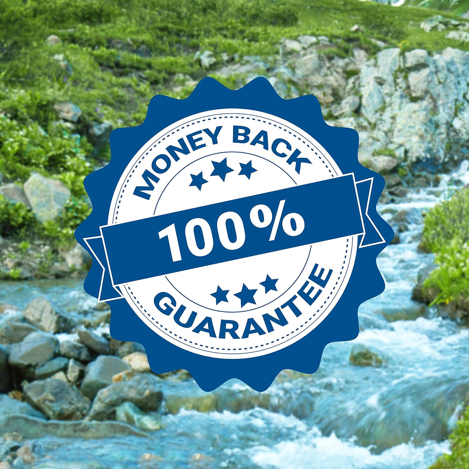 Immune Support Liquid Extract 2 fl oz | All-Natural Dietary Supplement | Herbal Formula | Strengthens The Immune System | Echinacea, Elderberry, Goldenseal, Ginger: Health & Personal Care