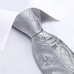 DiBanGu Silk Paisley Ties for Men Woven Necktie and