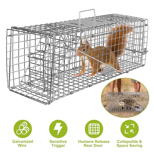 LIVE ANIMAL TRAP CAGE, 23.3″ HUMANE CAT TRAP FOR STRAY CATS, CAGE CATCH AND RELEASE FOR RABBIT, SQUIRREL, BEAVERS, GROUNDHOGS, KITTEN, ARMADILLOS, COLLAPSIBLE GALVANIZED WIRE WITH PEDAL TRIGGERS