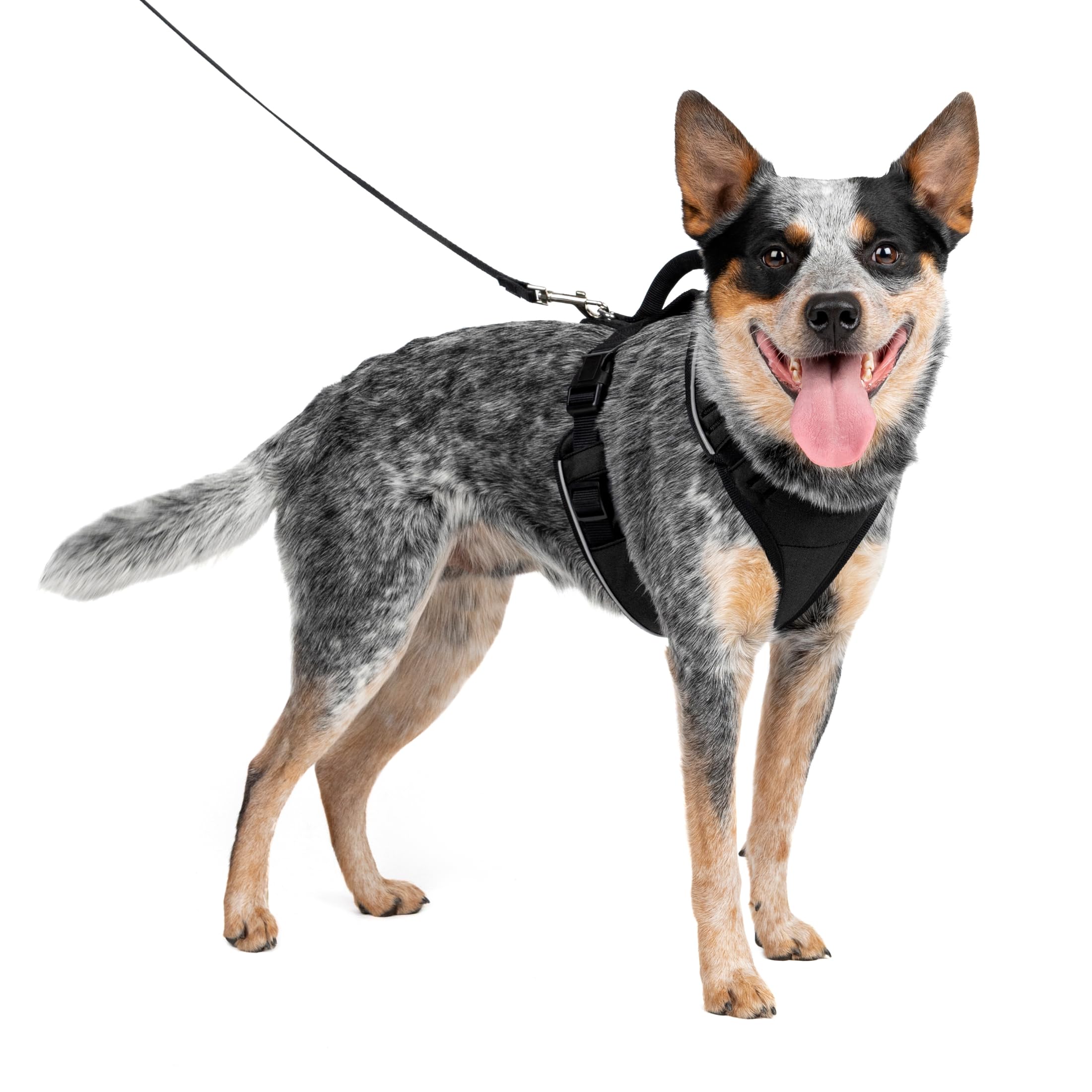 PetSafe EasySport Harness - Durable Padded Fabric, Adjustable Elastic Neckline, Rear-Leash Attachment & Nighttime Reflective Visibility - No Choke or Gag Secure Fit - Medium - Black โ image 1