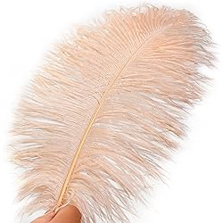 Soarer Champagne Ostrich Feathers for Vase - 15 pcs