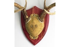 Taxidermists Woodshop TTW Ultimate Antler Mounting Kit - Cedar