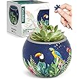 PieceRelax 3D Puzzle Planter 80 Pieces - Flower Pot - Bird of Paradise, Home Decor Flower Pots for Indoor Cactus, Succulents Pots [K1106]