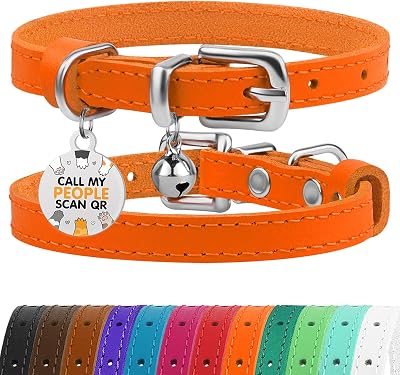 BRONZEDOG Leather Cat Collar with Removable QR-ID Tag Kitten Collar Bells