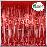 Red Foil Fringe Curtain Party Decorations, Melsan
