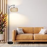 Rayofly Arc Floor Lamp with Dimmable LED 3 Color Temps, Remote view 9