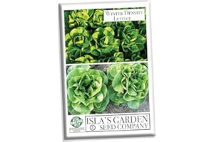 Winter Density Lettuce Seeds for Planting, 1000+ Heirloom Seeds Per Packet, (Isla's Garden Seeds), Non GMO Seeds, Botanical Name: Latuca Sativa, Great Home Garden Gift
