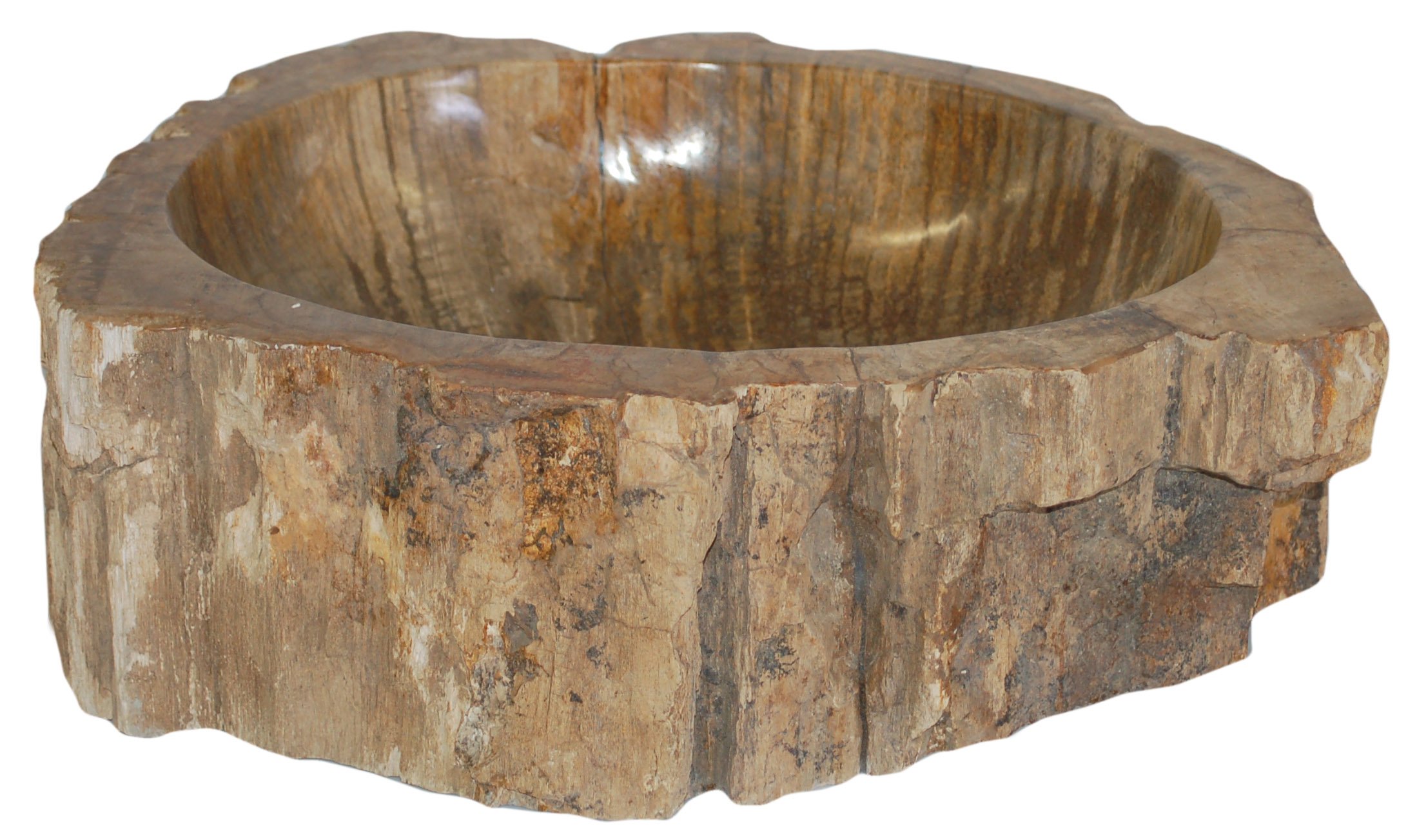 petrified wood kitchen sink