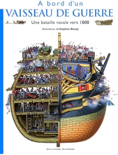 A Lassaut Dun Château Fort Amazonfr Richard Platt Livres - 