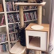 Vesper Katzenmöbel High Base Walnut - 81kaX1TFAmL. CR0,200,1200,1200 UX175 Vesper Katzenmöbel High Base Walnut - 81kaX1TFAmL. CR0,200,1200,1200 UX175