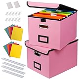 DECOSIS 2Pack File Storage Organizer with 10