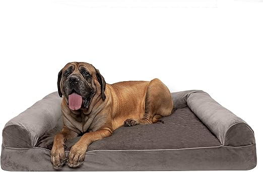 giant dog couch