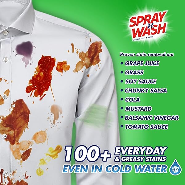 SPRAY ‘N WASH PRE-TREAT LAUNDRY STAIN REMOVER, 22 FL OZ