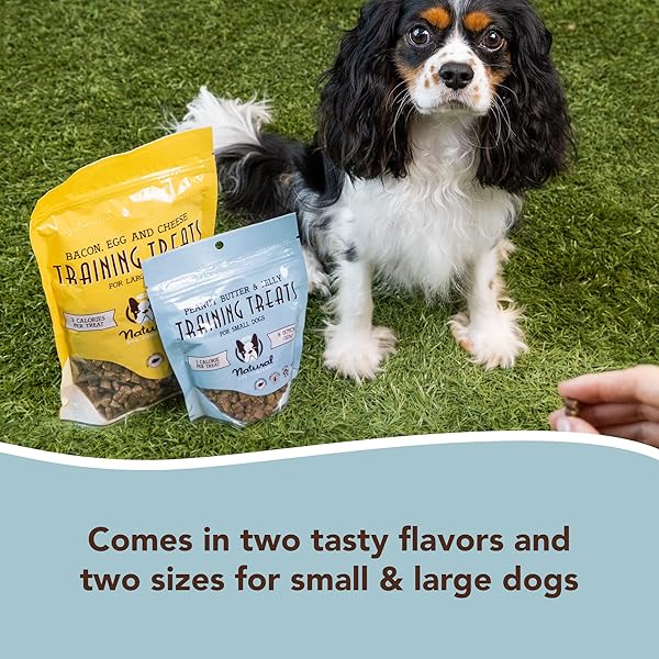 NATURAL DOG COMPANY TRAINING TREATS, PEANUT BUTTER AND JELLY, TINY SIZE, ALLERGEN-FREE INGREDIENTS, 8 OZ BAG