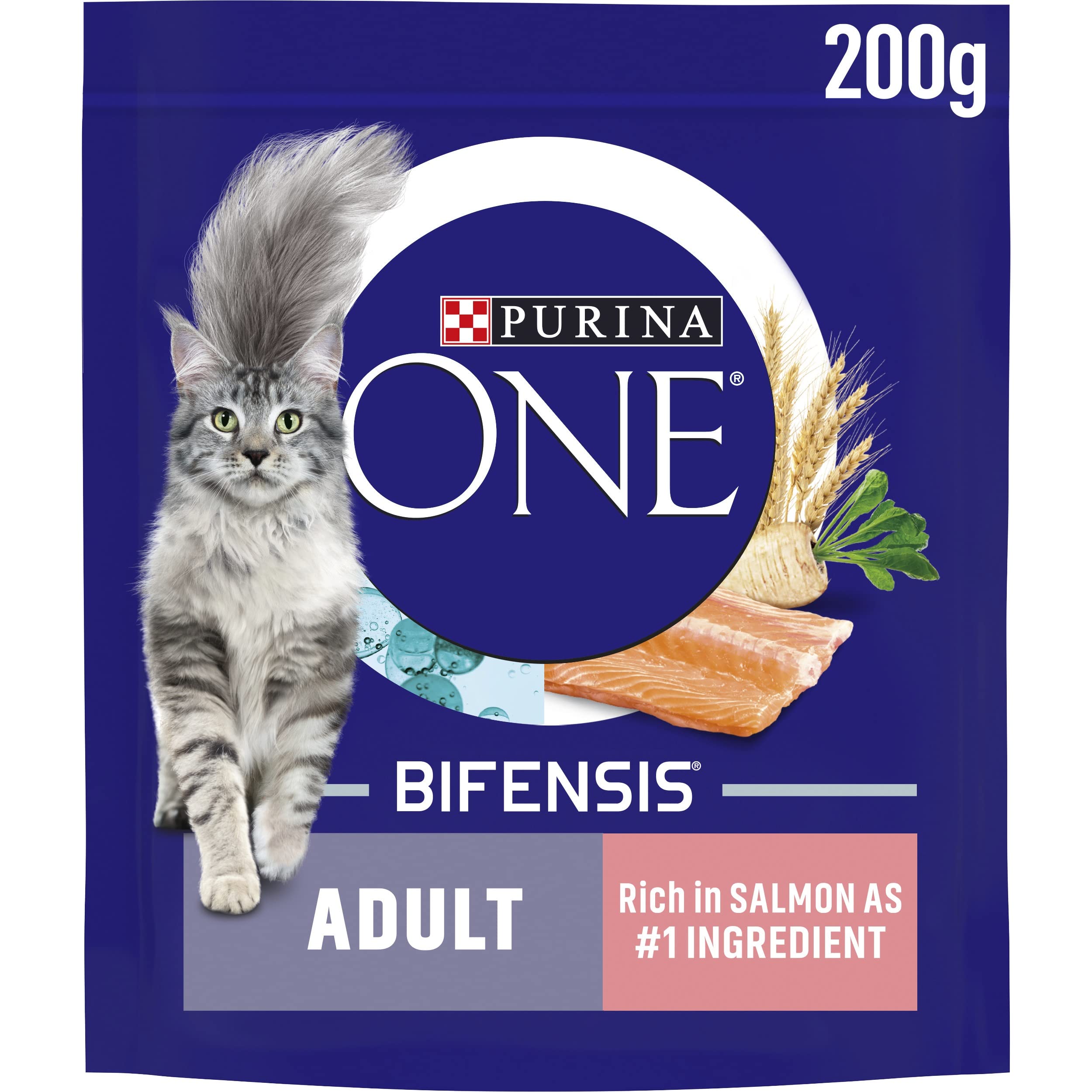 Purina ONE Adult Dry Cat Food Salmon 200g