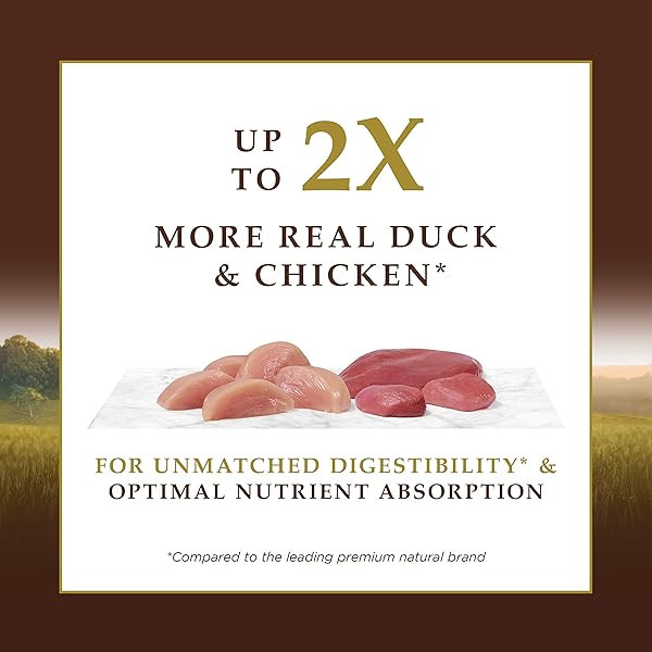 INSTINCT ULTIMATE PROTEIN, NATURAL DRY CAT FOOD, GRAIN FREE RECIPE – CAGE FREE DUCK, 4 LB. BAG