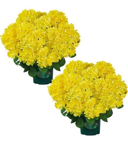 レア【新品・未使用】VALIEM NAME POT s-l400.jpg