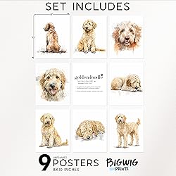 BigWig Prints Golden Doodle Wall Decor