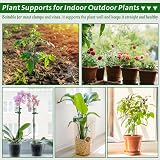 Hanotic 6Pcs Plant Support Stakes 30/60/90cm with Rings Clips Twistties view 6