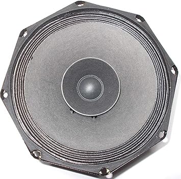 sweton speaker 12 inch