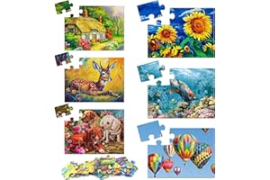 JAYDEAR 6 Packs Large Jigsaw Puzzles for Seniors Elderly 9&16 Piece, Dementia Activities for Senior & Alzheimers Activities Product Cognitive Memory Game 12.5X9.4inch