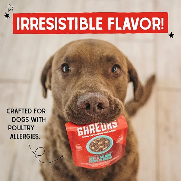 STELLA & CHEWY’S GRASS FED BEEF & WILD CAUGHT SALMON SHREDRS – PREMIUM DOG FOOD POUCHES – PERFECT FOR PICKY EATERS- 12 PACK, 2.8OZ EACH