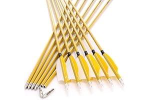 annastar 30" Carbon Feather Arrows Practice Hunting Arrows Spine 300 340 400 500 600 700 800 for Recurve Bow & Compound Bow (12 pcs)