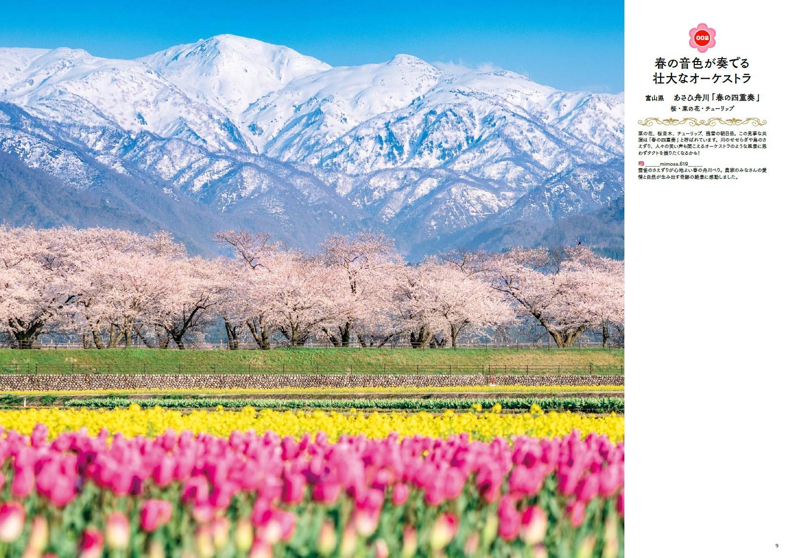 世界中に贈りたい花の絶景100 はなまっぷ本 はなまっぷ 本 通販 Amazon