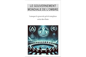 Le gouvernement mondial de l'ombre: Lorsque le pouvoir privé remplace celui des Etats (French Edition)