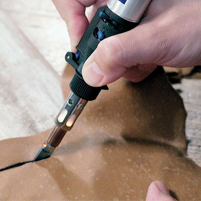 Saldatore senza fili Dremel Versatip 2000 - Kit di saldatura a gas butano con 7 punte intercambiabili per saldatura, bruciatura del legno, pirografia, creazione di gioielli, arte e artigianato