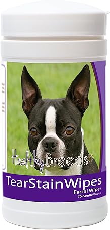 hypoallergenic dogs boston terrier