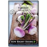 Sow Right Seeds - Purple Top Turnip Seed for Planting White Globe Turnips | Plant cold hardy non-GMO heirloom variety for outdoor home vegetable garden. Root veggies for growing outside spring or fall.