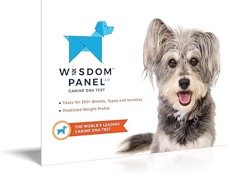 Wisdom Panel 20 Test Adn Pour Chien