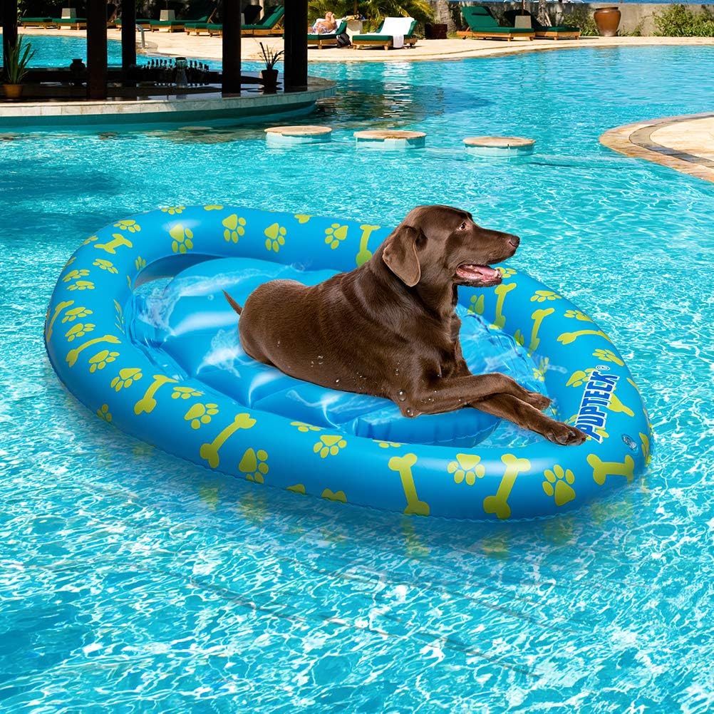 inflatable dog pool toy