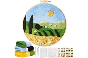 JSRQT Needle Felting Painting Kit for Beginners, Including Felt Fabric with Landscape Pattern, Needle Felting Needles and Pad