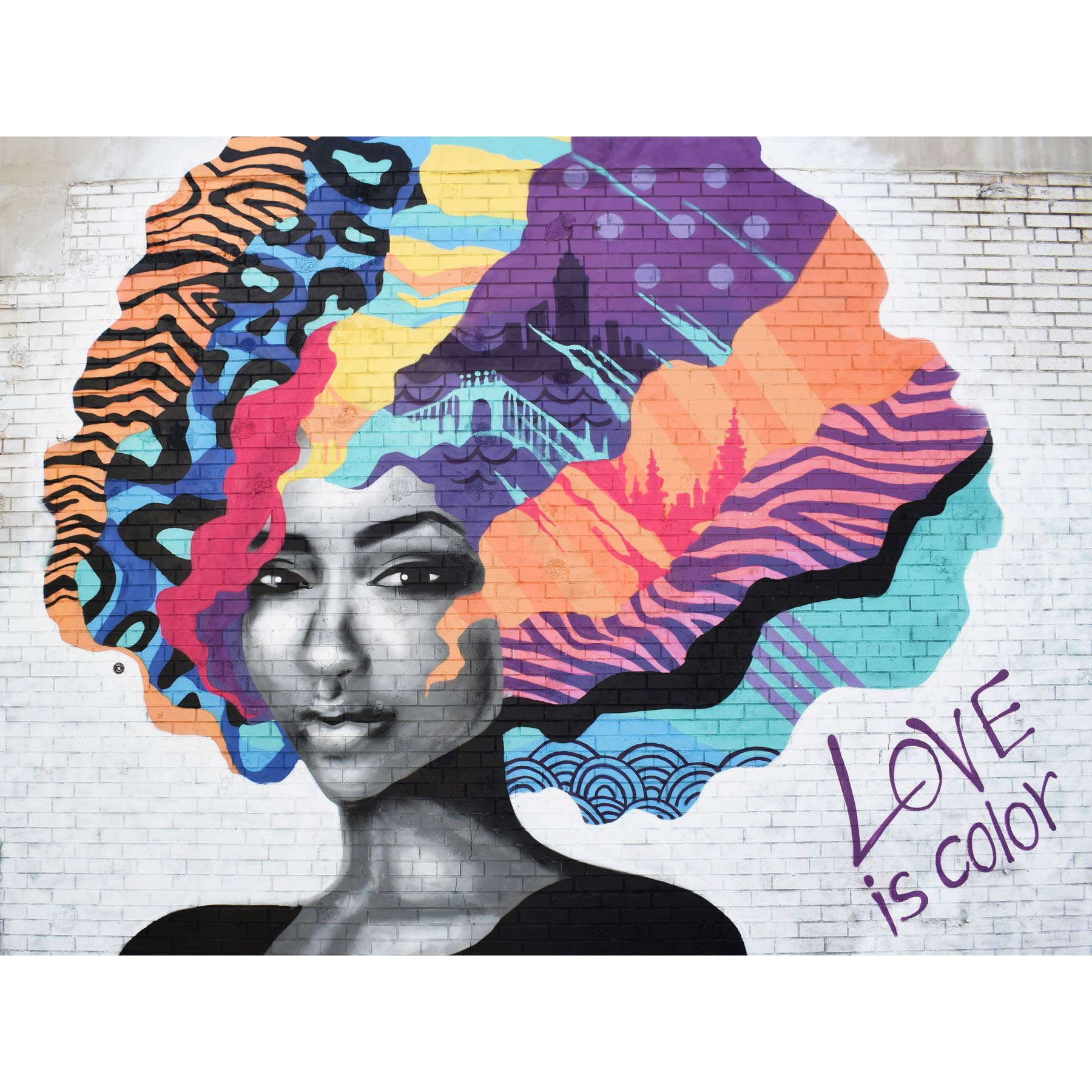 Barbalis Graffiti Woman Psychedelic Hair Large Canvas Wall Art Print