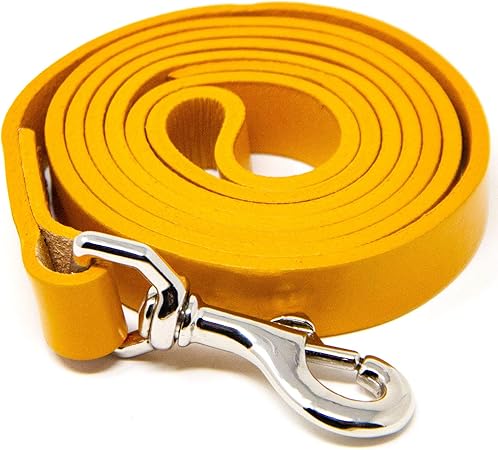 logical leather dog leash