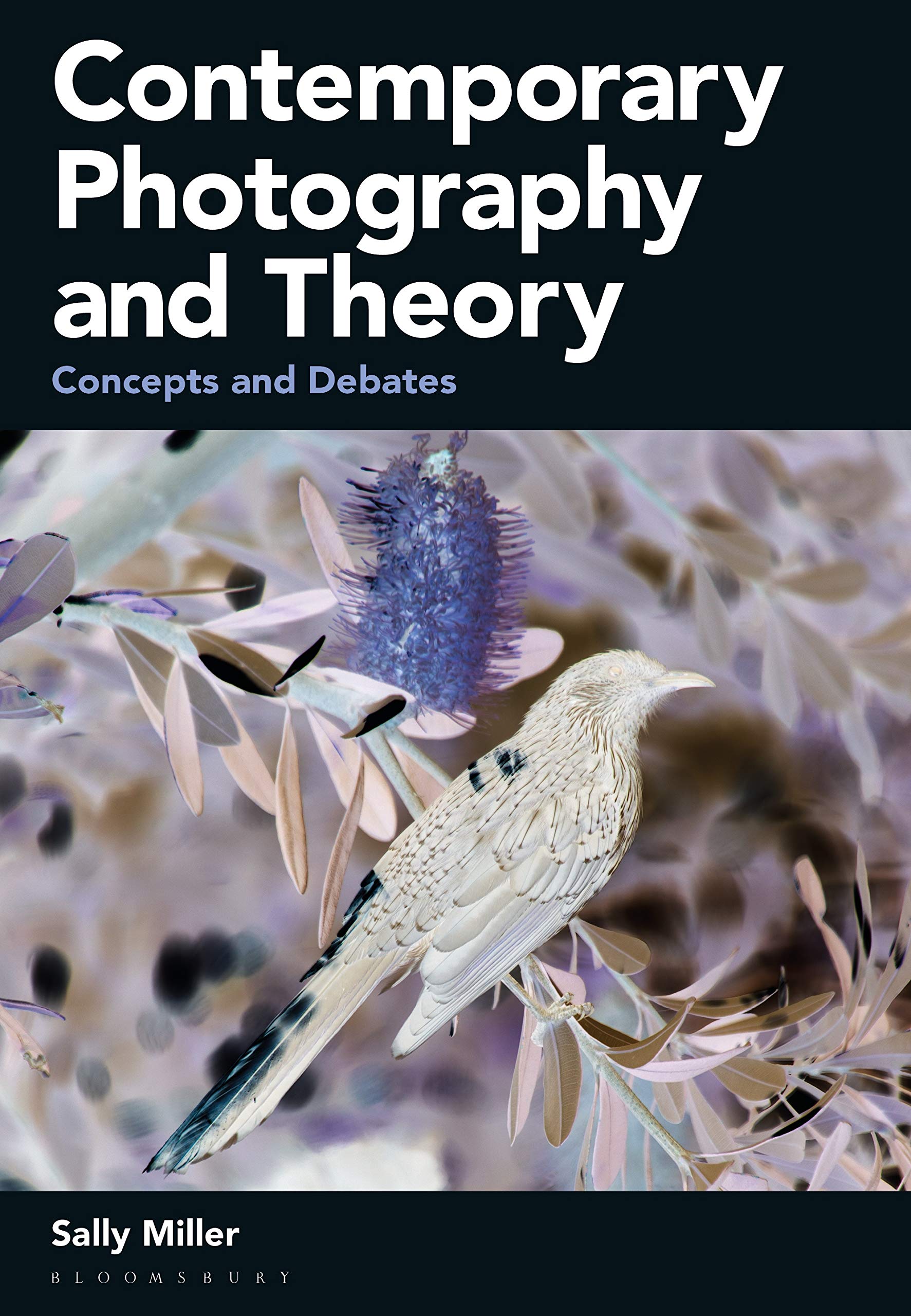 Contemporary Photography and Theory: Concepts and Debates