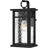 Quoizel Moira Outdoor Wall Lantern, Coastal Armour 16 Inch 1-Light Earth Black Wall Sconce, Clear Water Glass Exterior Wall L