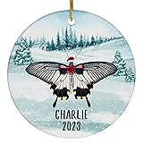 Santa Hat and Scarf Welcome Winter Grey Butterfly