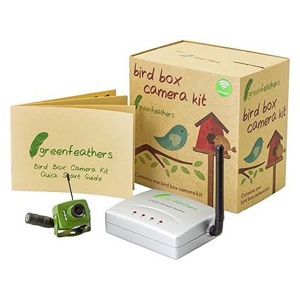 Green Feathers Drahtlose Vogel-Haus-Kamera mit Nachtsicht, drahtloser Empfänger, 700TVL Video und Audio
