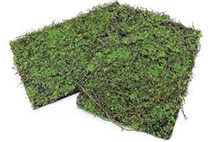 AQUA KT Terrarium Moss Background Backdrop Wall Artificial Reptile Amphibian Cage Decoration for Lizard Bearded Dragon Snake Frog Chameleon Climbing, Pack of 2