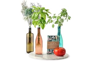 URBAN LEAF Herb Garden Kit Indoor - Grow Fresh Herbs Plants Hydroponically Indoors with this unique Window Garden Kit - Bottle Stopper Gardening Kit - Kitchen Windowsill Planter Grow Live Herbs At Home from Seed