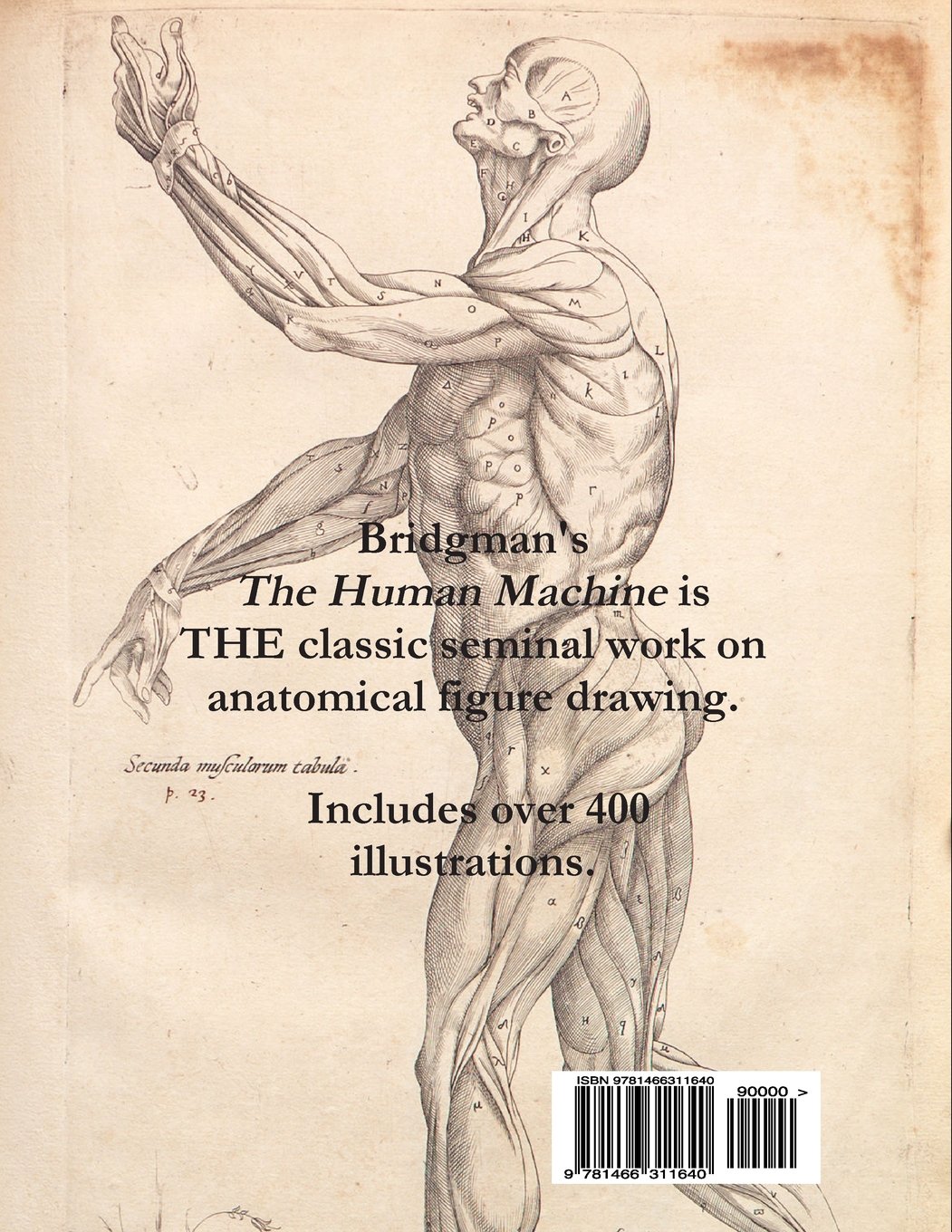 Bridgman Human Machine Ebook