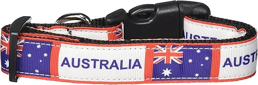 dog collar aus