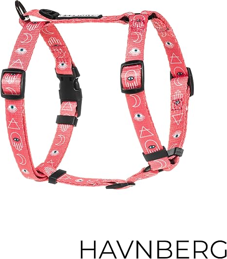 Harnais Chien Havnberg Taille S Pour Chien Petit Modèle Aztek Saumon Turquoise Symboles